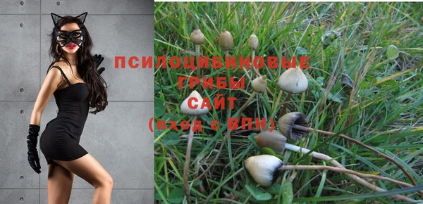 ПСИЛОЦИБИНОВЫЕ ГРИБЫ Волоколамск