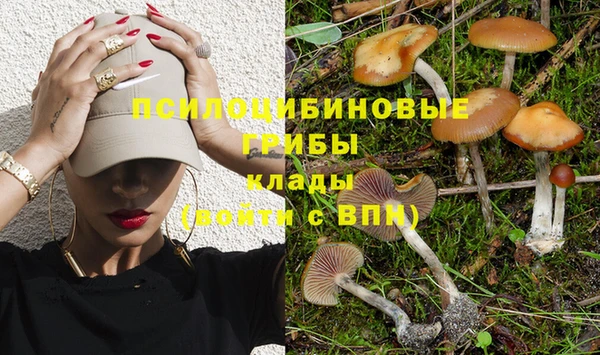 гашиш Володарск
